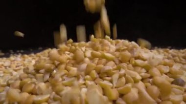 Kuru bezelye bir tablo, siyah arka plan üzerine dökülür.