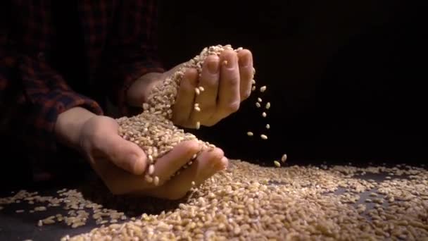 Pearl barley spilling on burlap — Stock Video