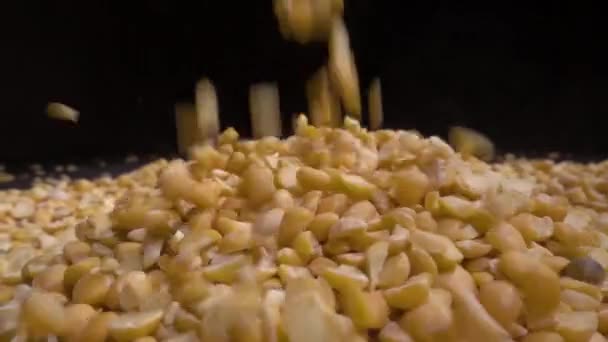 乾燥エンドウ豆はテーブル、黒の背景に注がれ. — ストック動画