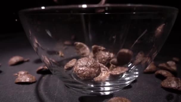 Brown chocolate corn flakes fall in a plate with a pattern of flowers on the edge and are filled with milk. Closeup. Slow mo, slo mo, slow motion, high speed camera, — Stock Video