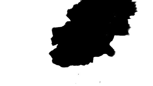 Черное пятно белый фон — стоковое видео