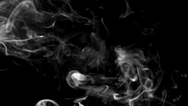Abstracte rook op zwarte achtergrond — Stockvideo