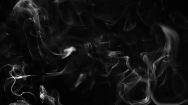 Humo abstracto sobre fondo negro — Vídeos de Stock