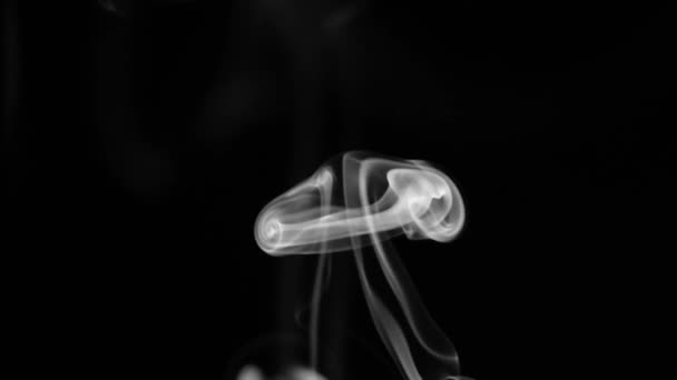 Abstrakt rök på svart bakgrund — Stockvideo