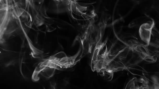 Humo abstracto sobre fondo negro — Vídeos de Stock