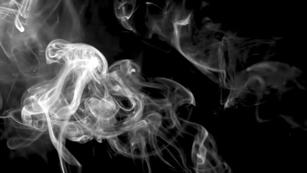 Abstract smoke on black background — Stock Video