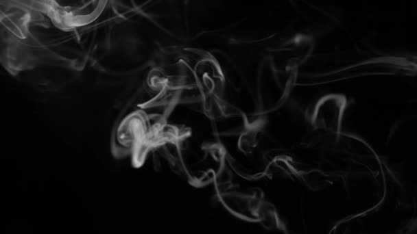 Абстрактний дим на чорному фоні — стокове відео
