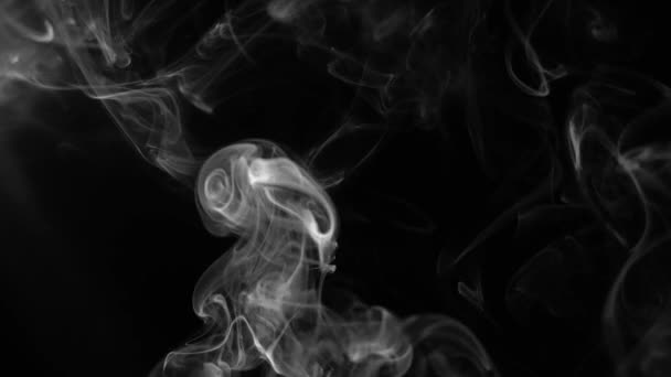 Abstracte rook op zwarte achtergrond — Stockvideo