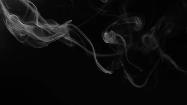검은 배경에서의 노골적 인 연기 — 비디오