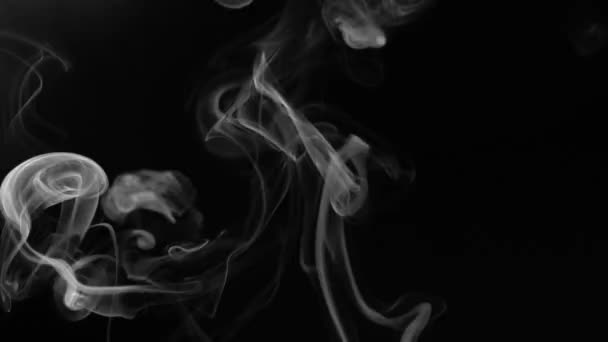 Abstraktní kouř na černém pozadí — Stock video