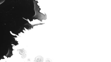 Beyaz mürekkep Bleed Bloom üzerinde mürekkep Bloom. Genişleyen siyah