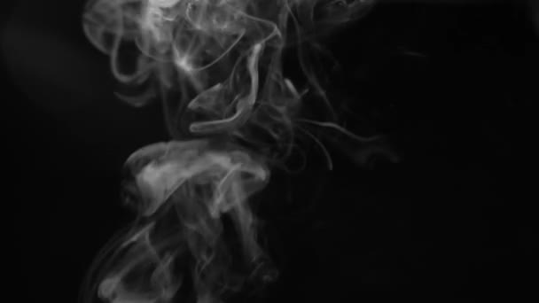 Humo blanco sobre fondo negro, fondo de humo, humo abstracto sobre fondo negro — Vídeos de Stock