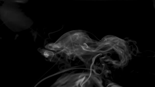 Humo blanco sobre fondo negro, fondo de humo, humo abstracto sobre fondo negro — Vídeo de stock