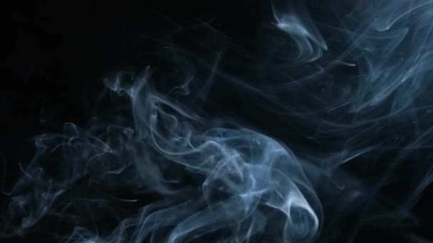 Echter Rauch auf schwarzem Hintergrund — Stockvideo