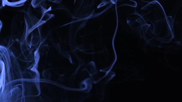 Абстрактный белый дым на черном фоне, дымовой фон, синий дым фон — стоковое видео