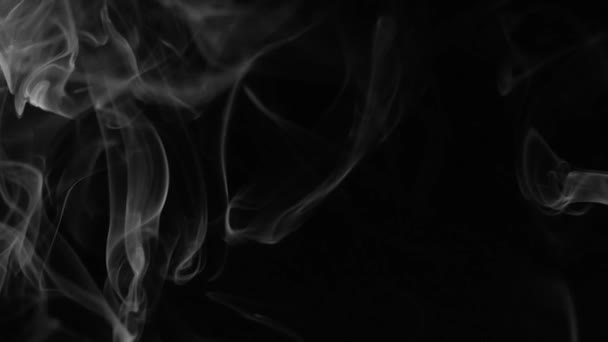 Білий дим на чорному фоні — стокове відео