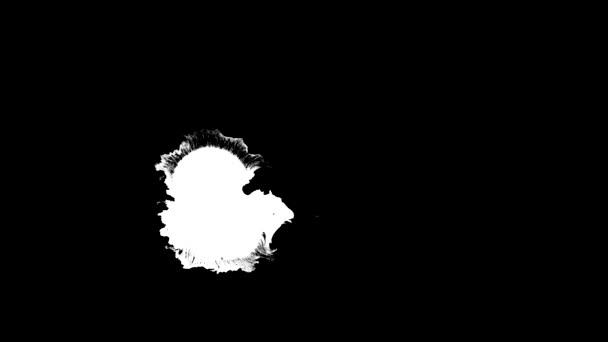 ブルーム・インク。美しい白い水彩インクは黒の背景に遷移をドロップ, — ストック動画