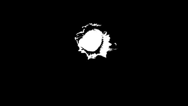 Μελάνι Μπλουμ. Όμορφη λευκή μελάνη νερομπογιάς πέφτει μετάβαση σε μαύρο φόντο, — Αρχείο Βίντεο