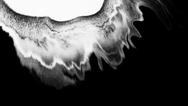 Цветущие чернила. Красивый белый акварель капли чернил переход на черный фон , — стоковое видео