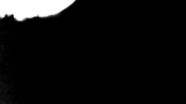 Çiçek mürekkebi. Güzel beyaz suluboya mürekkep siyah arkaplana geçiş yapıyor,