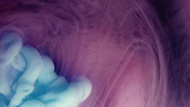白ピンク青インクで着色された煙爆発 — ストック動画