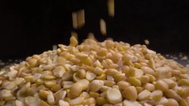 Kuru bezelye bir tablo, siyah arka plan üzerine dökülür.