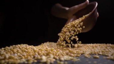 Kuru bezelye bir tablo, siyah arka plan üzerine dökülür.