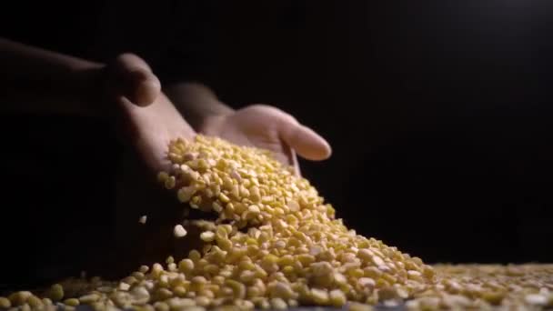 Dried peas are poured on a table, black background. — Stock Video