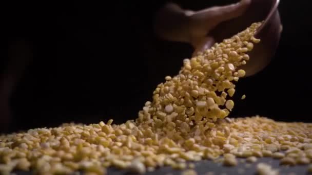 Los guisantes secos se vierten sobre una mesa, fondo negro . — Vídeo de stock