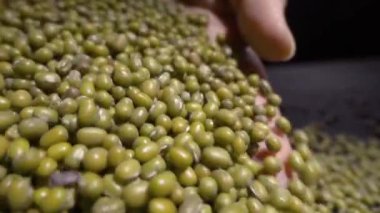 Ağır çekim. yeşil fasulye mercimek. Makro