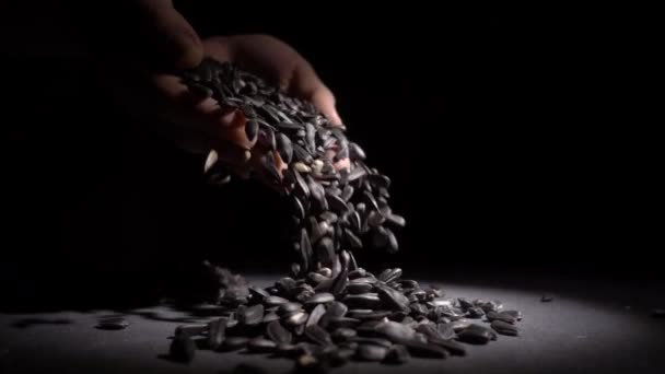 Zblízka střílel ženské ruky dotýká slunečnicová semínka — Stock video