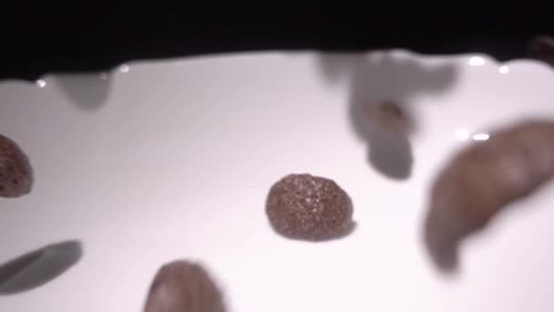 Les flocons de maïs au chocolat brun tombent dans une assiette blanche avec un motif de fleurs sur le bord et sont remplis de lait. Gros plan. Ralenti, ralenti, ralenti, caméra haute vitesse ,