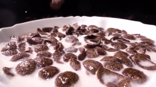 Kahverengi çikolata Mısır gevreği çiçek desenli beyaz bir tabak içinde kenarında düşmek ve süt ile doldurulur. Portre. Yavaş mo, slo mo, ağır çekim, yüksek hızlı kamera, — Stok video