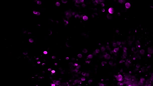 Purple Glitter In Blur On A Black Background Stock Video C Puzurin 270340958