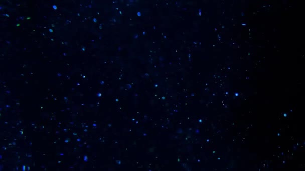 Paillettes bleues dans le flou sur un fond noir . — Video