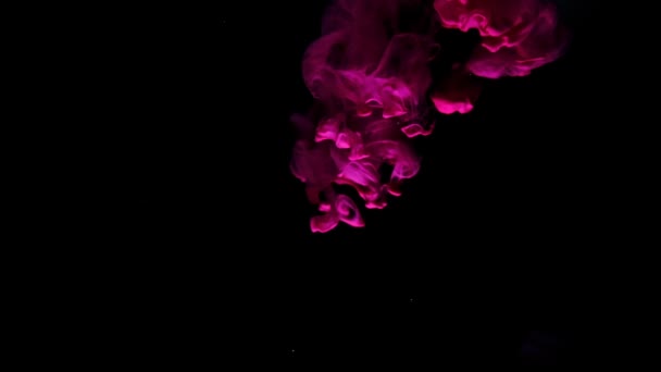 Ροζ μελάνι μαύρο φόντο — Αρχείο Βίντεο