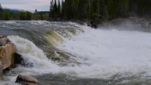 천천히 움직이는 강수도 있고. 노르웨이의 아름다운 자연. — 비디오