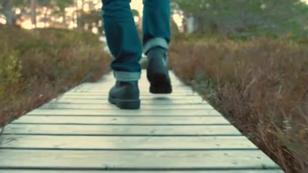 Füße in Wanderstiefeln durch den herbstlichen Wald, hautnah. Norwegischer Wald — Stockvideo