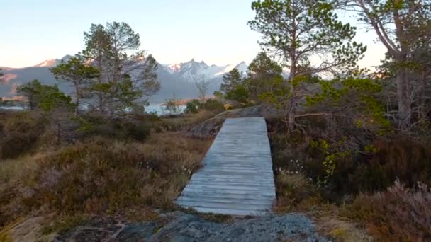 Pasarela de camino de madera del pantano a Noruega — Vídeo de stock