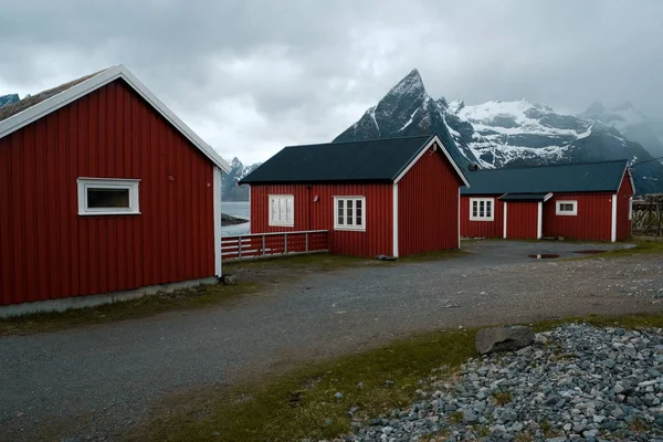 Tyypillisiä punaisia rorbu-kalastusmajoja, joissa on soijakatto Lofoten-saarilla Norjassa — kuvapankkivalokuva