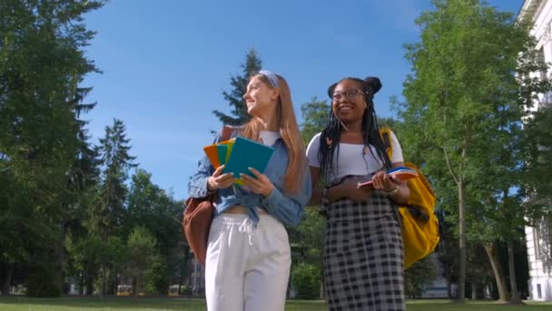 Na zewnątrz portret dwóch kobiet wielonarodowych przyjaciół. Dziewczyny chodzą w parku w lecie. Studencki styl życia, koncepcja przyjaźni — Wideo stockowe