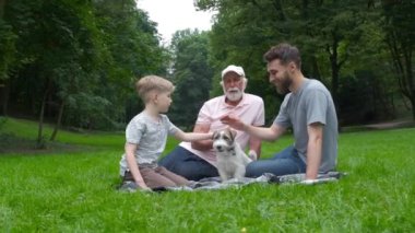 Büyükbaba, baba ve oğul ve iki köpek Jack russel terrier yaz parkı yeşil çim üzerinde yatıyordu. Aile Tatili. Nesilsel bağlantı. aile, evcil hayvan, aşk dostluk ve insan kavramı