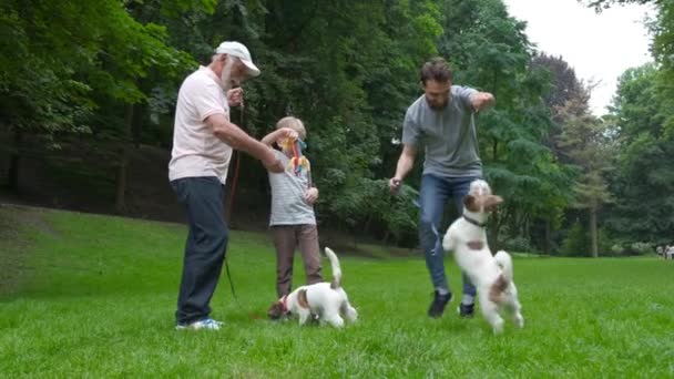 ジャックラッセルテリア犬と父の祖父と息子の幸せな家族は、楽しみ、笑い、走って、公園で一緒に歩いています。3つの異なる世代の概念 — ストック動画