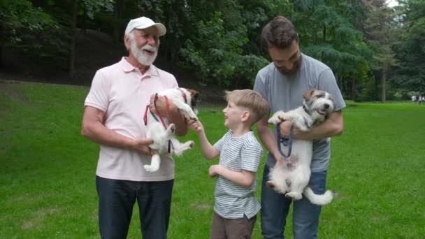 잭 러셀 테리어 개와 함께 아버지 할아버지와 아들의 행복한 가족이 공원에서 함께 걷고, 웃고, 달리고, 웃고 있습니다. 세 가지 다른 세대 개념 — 비디오
