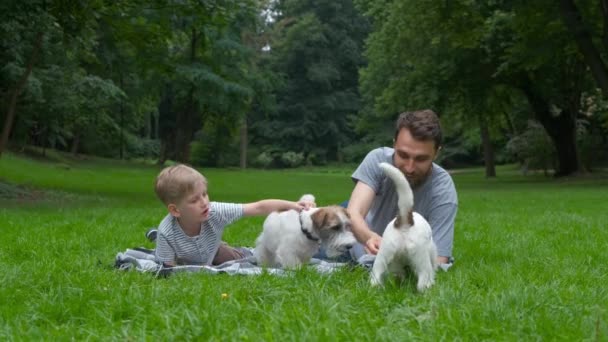 Barba hombre cinólogo con niño pequeño hijo acostado jugando relajarse en una hierba verde con dos perros en el parque verde hora de verano. Familia, mascota, equipo, amistad animal doméstico y concepto de personas . — Vídeo de stock