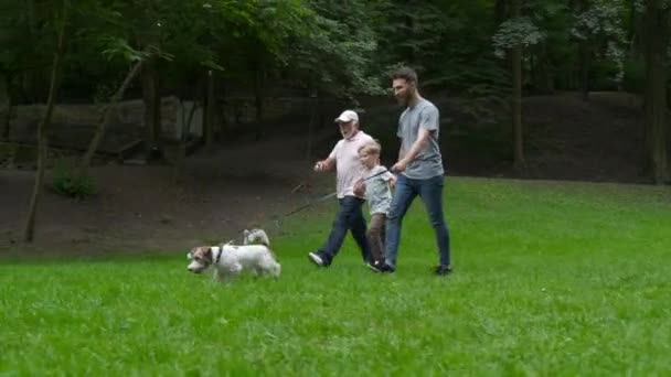 Familia feliz de padre abuelo e hijo con Jack Russel terrier perro divertirse, reír, correr, caminar juntos en el parque. concepto de tres generaciones diferentes — Vídeo de stock