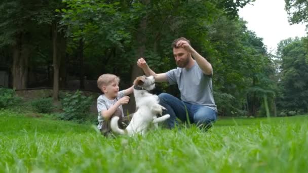 Família, animal de estimação, equipe, amizade animal doméstico e conceito de pessoas - família feliz de pai e filho correndo, pulando na caminhada com dois cães Jack Russel Terrier no parque de verão. Movimento lento — Vídeo de Stock