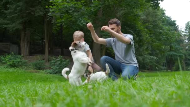 Familia, mascota, equipo, amistad animal doméstico y concepto de personas - familia feliz de padre e hijo corriendo, saltando a pasear con dos perros Jack Russel Terrier en el parque de verano. Movimiento lento — Vídeo de stock