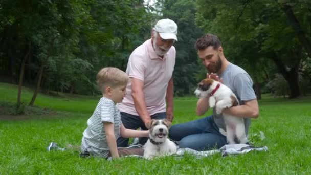 祖父、父と息子と2匹の犬ジャックラッセルテリアは、夏の公園の緑の草の上に横たわっています。家族旅行。世代間の接続。家族、ペット、愛の友情と人々の概念 — ストック動画