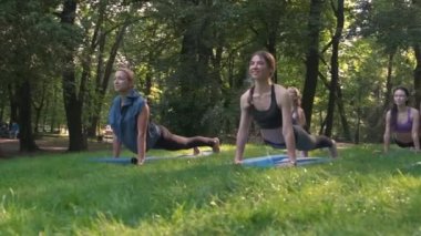 Parkta yoga, gün batımı sırasında poz yapan karışık yaş kadın grubu. yavaş çekim